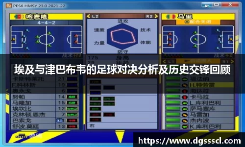 埃及与津巴布韦的足球对决分析及历史交锋回顾